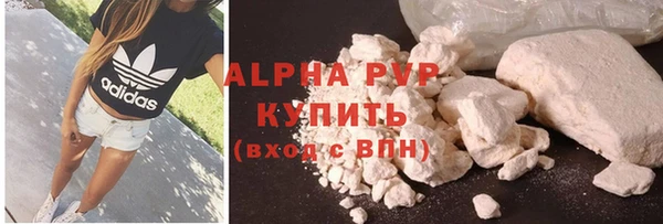 PSILOCYBIN Аркадак