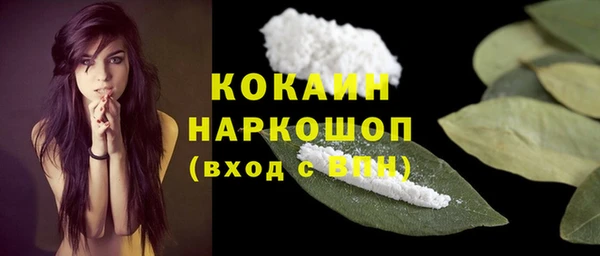 PSILOCYBIN Аркадак