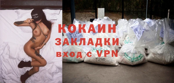 PSILOCYBIN Аркадак