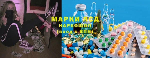 PSILOCYBIN Аркадак