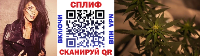 Бошки марихуана тримм  гидра онион  Пудож 